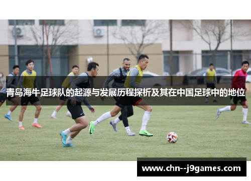 青岛海牛足球队的起源与发展历程探析及其在中国足球中的地位