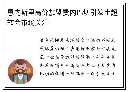 恩内斯里高价加盟费内巴切引发土超转会市场关注
