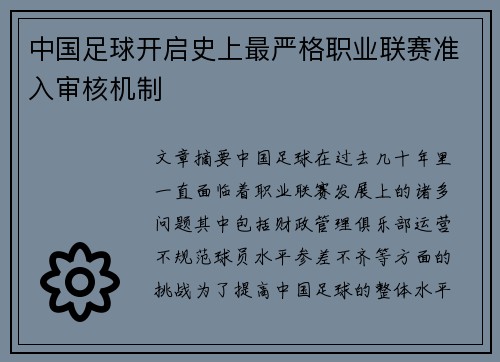 中国足球开启史上最严格职业联赛准入审核机制